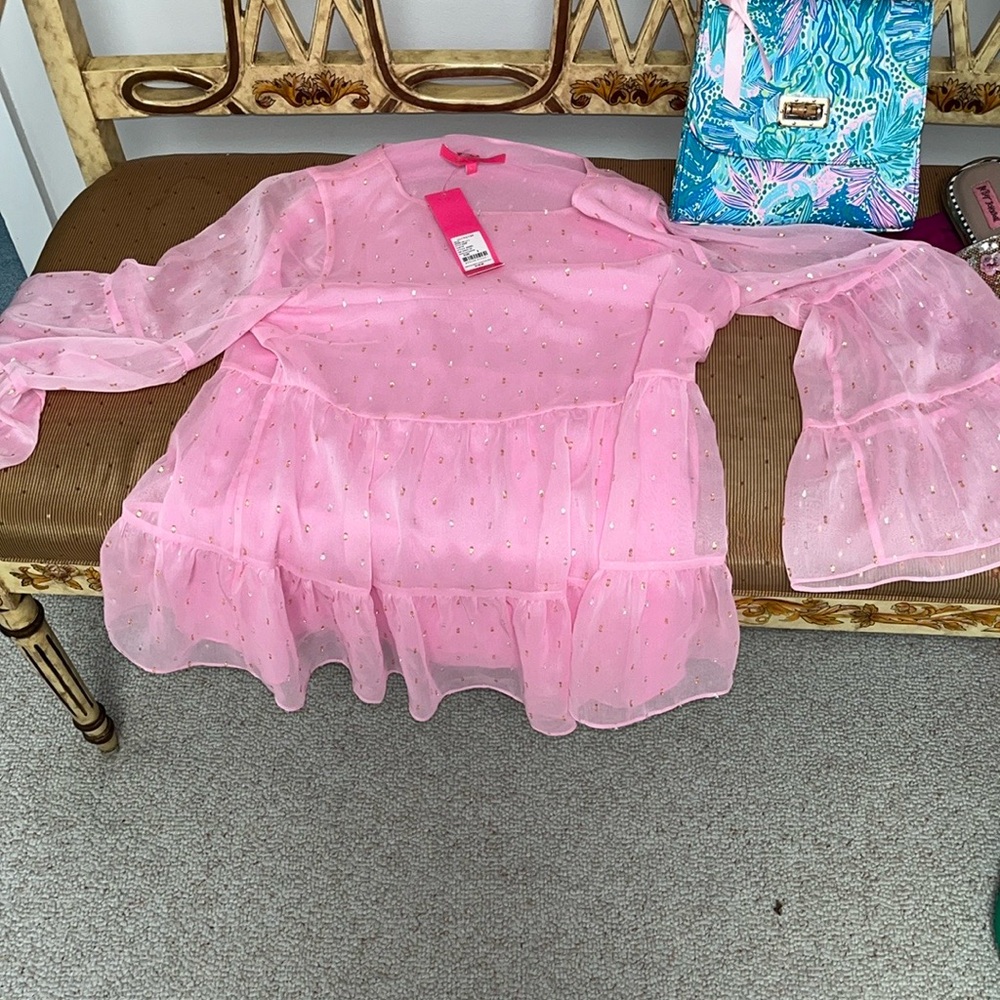 Pink Sheer Ruffle Blouse - Picture 3 of 4